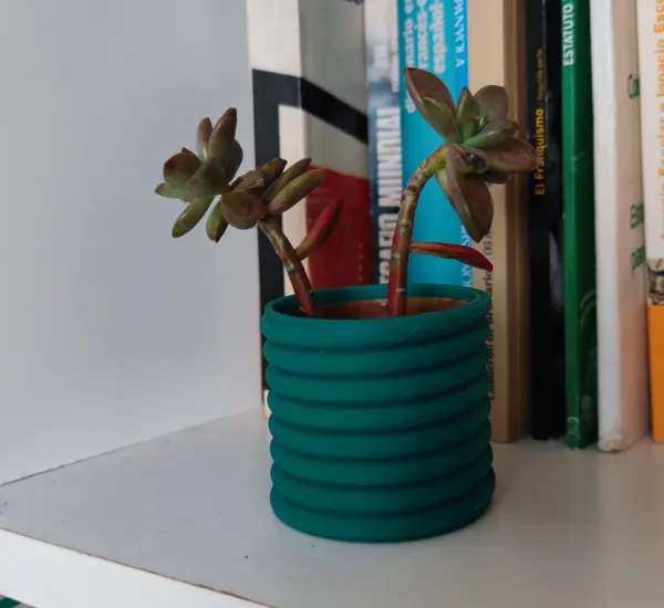 https://makerworld.bblmw.com/makerworld/model/DSM00000000855034/design/2024-12-06_6591c118fb7de.jpg