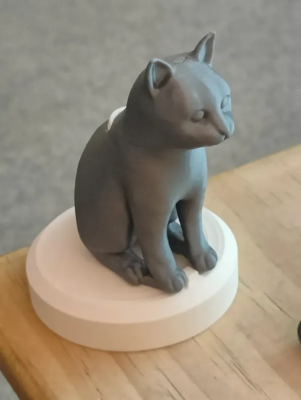 https://makerworld.bblmw.com/makerworld/model/DSM00000000856236/design/2024-12-07_9c00687e94583.webp
