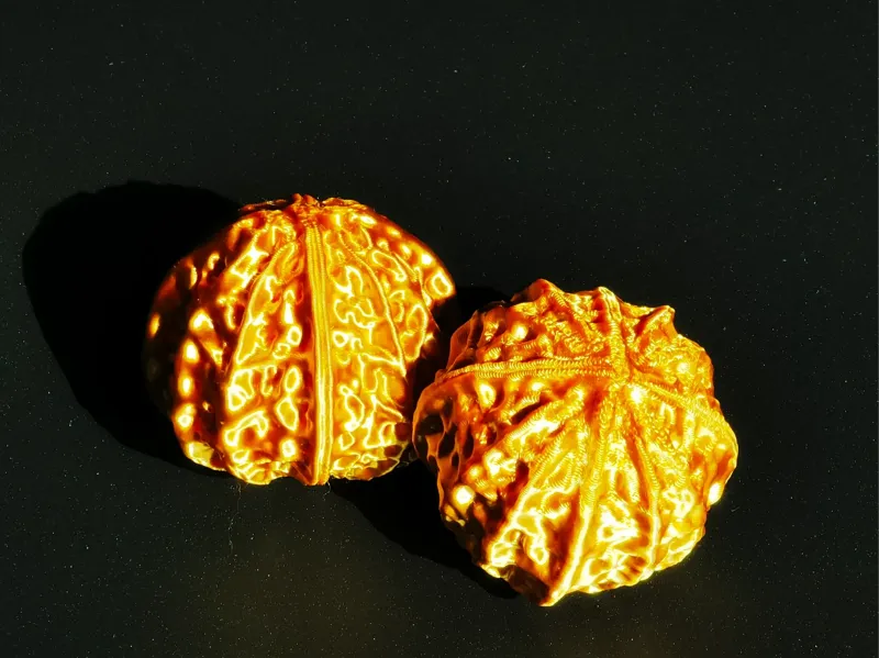 四棱鬼面金刚文玩核桃