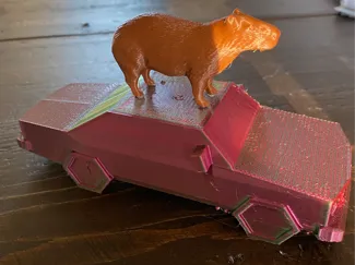 Capybara on a car