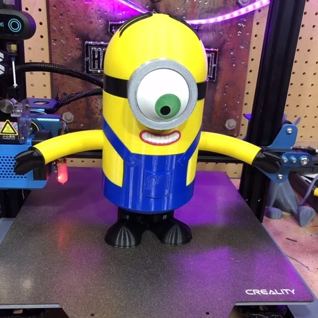 Minion Stuart Multi Color