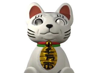Turbo Granny Cat