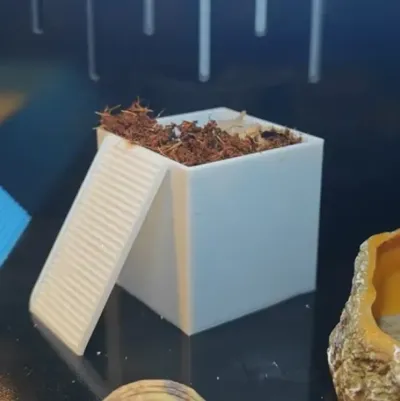 Hermit Crab Molting Container