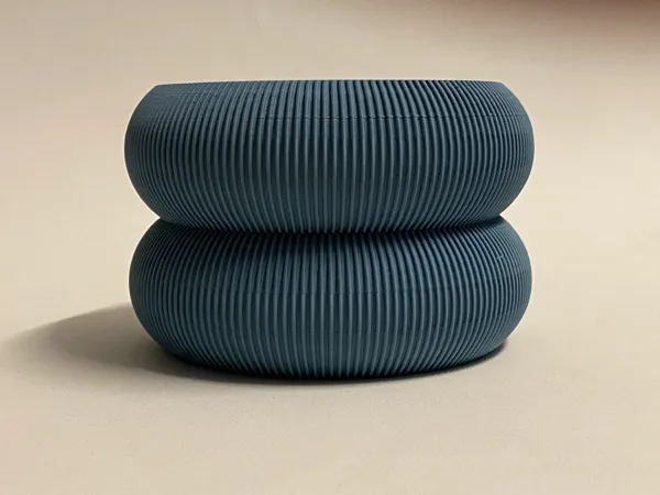 https://makerworld.bblmw.com/makerworld/model/DSM00000000861257/design/2024-12-08_a8cc634c6178b.jpg