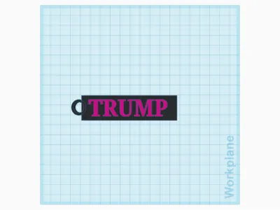 Trump key chain