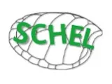 Schel Cases