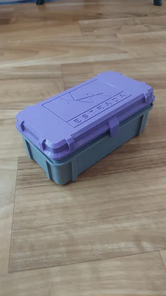 https://makerworld.bblmw.com/makerworld/model/DSM00000000866501/design/2024-12-10_cnzvu30i58pj.jpg