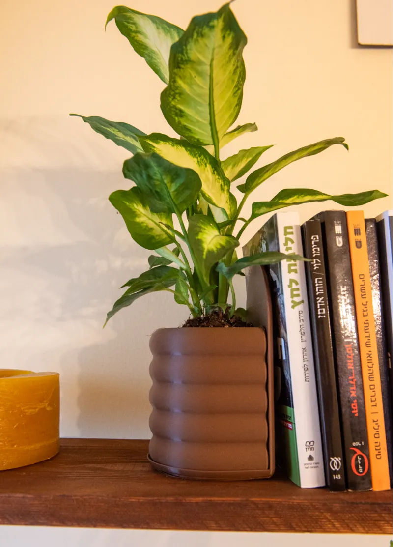 Book End Pot