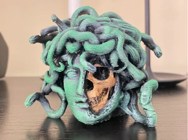 https://makerworld.bblmw.com/makerworld/model/DSM00000000868643/design/2024-12-11_a78b14cf2e49d.jpg