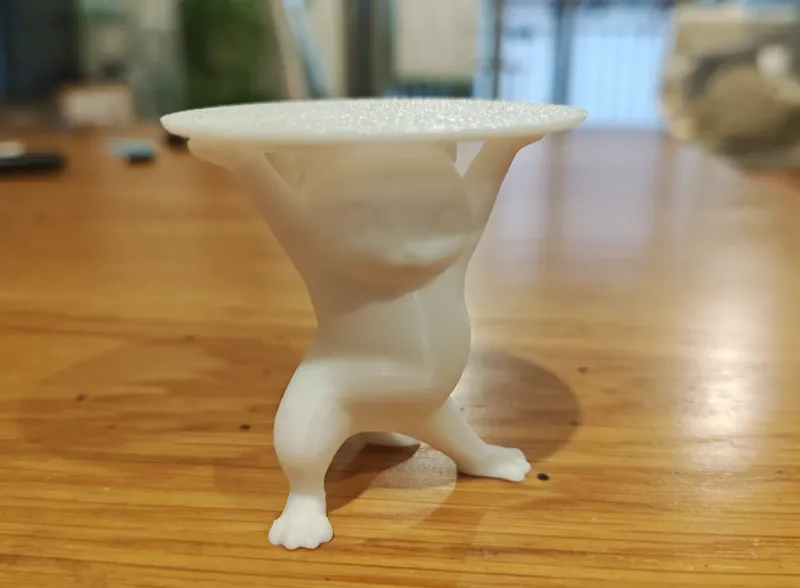 托盘猫