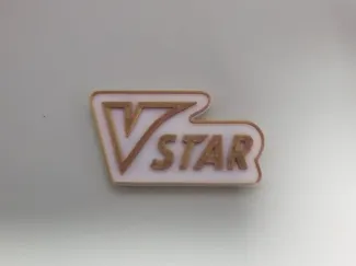 PTCG 宝可梦卡牌 指示物 Vstar板