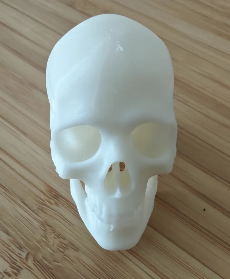 Human Skull AI Generated