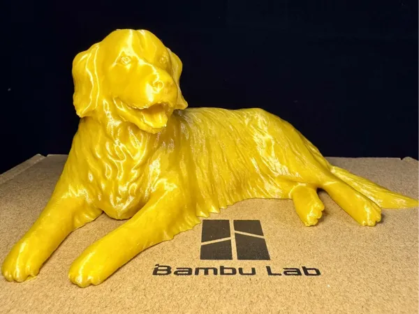 https://makerworld.bblmw.com/makerworld/model/DSM00000000875670/design/fa619a89-3210-4065-af82-8d6664a03e78.webp