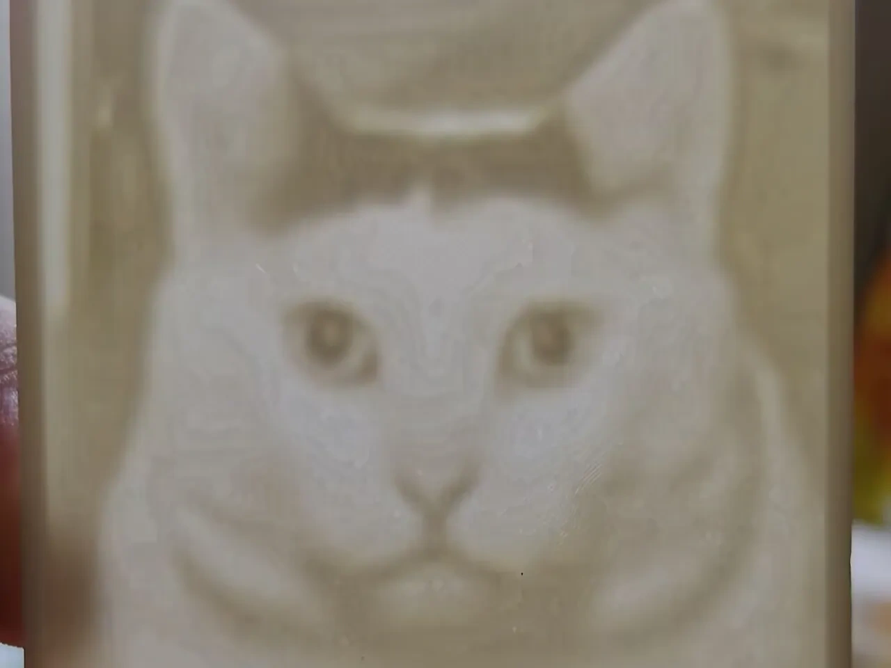 huh cat huh猫可爱透光浮雕