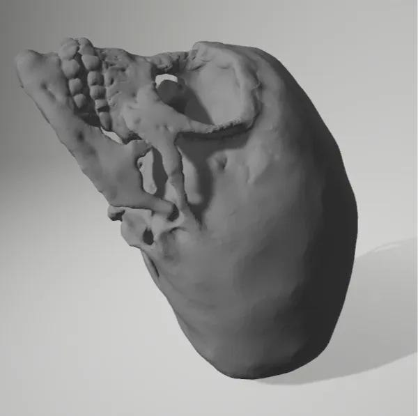 https://makerworld.bblmw.com/makerworld/model/DSM00000000876268/design/2024-12-13_08cf77e5dbb68.jpg