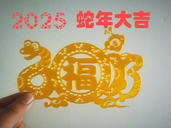 https://makerworld.bblmw.com/makerworld/model/DSM00000000878237/design/b4c4e798-97c6-4e47-b2b7-dd7d4e729121.webp