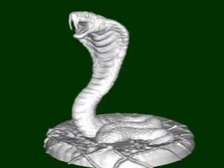 Snake_Action