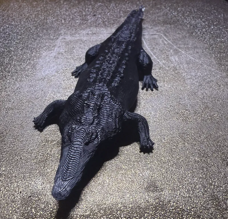 crocodile 