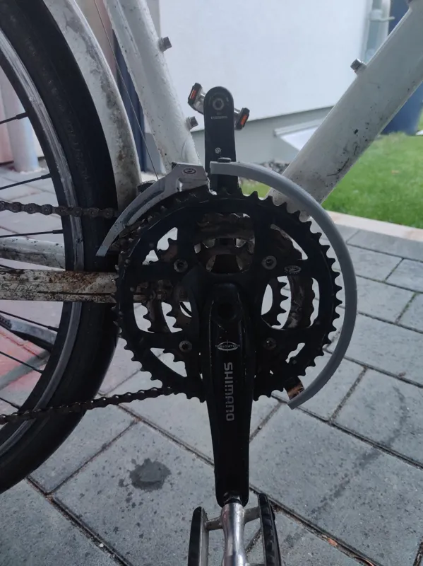 Biscycle geartrain protector