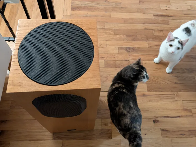 Allison speaker 8" woofer grill