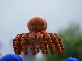 XXL octopus 16 tentacles
