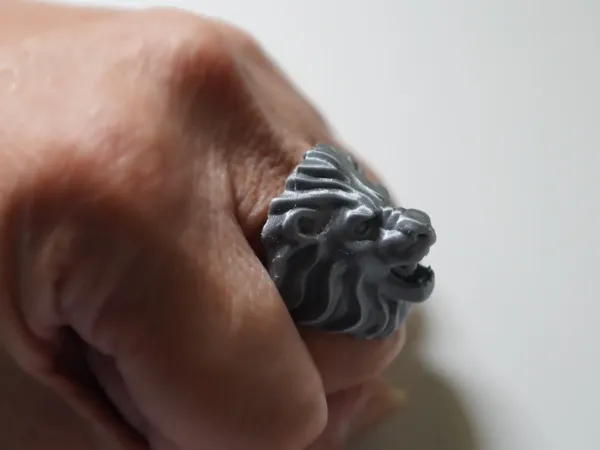 https://makerworld.bblmw.com/makerworld/model/DSM00000000883160/design/40855c2a-5c9a-41db-b1b2-c7dbed332c69.webp