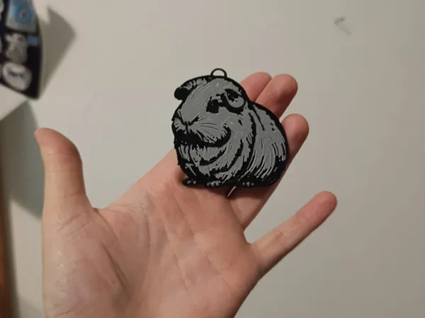 https://makerworld.bblmw.com/makerworld/model/DSM00000000883194/design/2024-12-15_10facd851c6fa.jpg