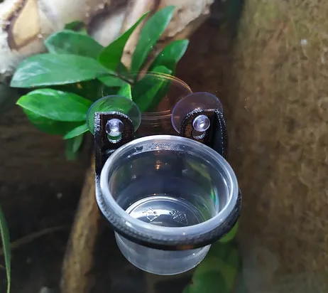 feeder reptile