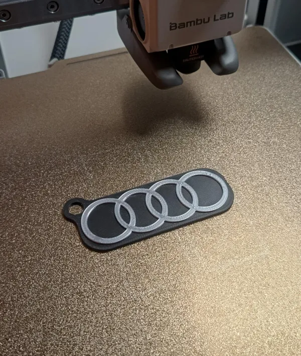https://makerworld.bblmw.com/makerworld/model/DSM00000000886207/design/2024-12-16_999053211a3d3.jpg