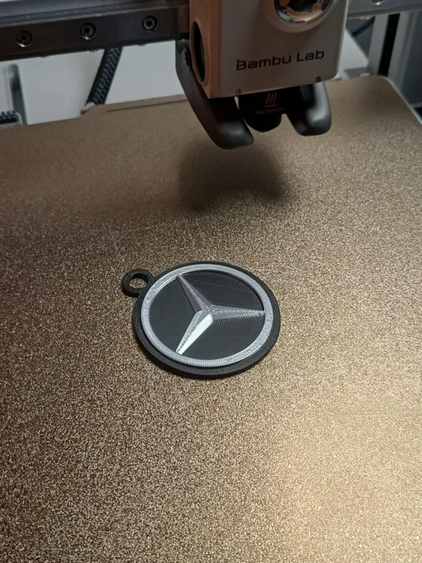 https://makerworld.bblmw.com/makerworld/model/DSM00000000886266/design/2024-12-16_65e25d1e83bb.jpg