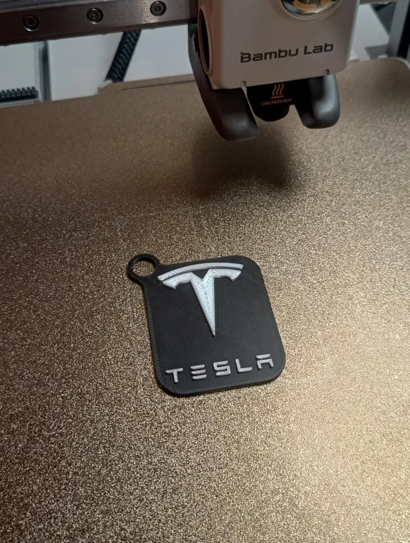 Tesla Keychain