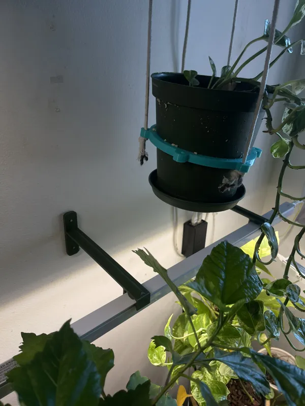 https://makerworld.bblmw.com/makerworld/model/DSM00000000886329/design/2024-12-17_p4d9ow20otw3.jpeg