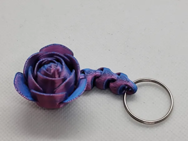 https://makerworld.bblmw.com/makerworld/model/DSM00000000886543/design/2024-12-16_b8e35690dcf6f.jpg