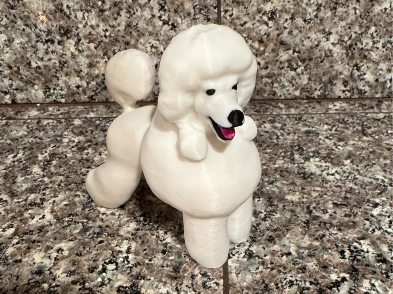 Poodle
