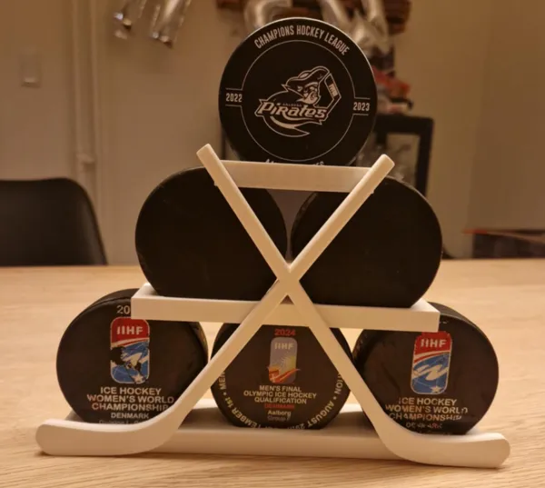 https://makerworld.bblmw.com/makerworld/model/DSM00000000889226/design/2024-12-17_e5c16f4426e358.jpeg