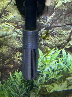Canister Filter Intake Strainer