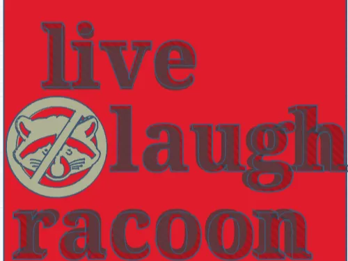 racoon door sign