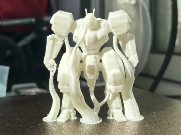 https://makerworld.bblmw.com/makerworld/model/DSM00000000894420/design/50b673c3-d9e2-4009-afeb-17147fac2475.webp