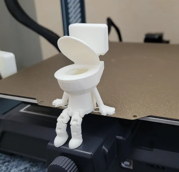 https://makerworld.bblmw.com/makerworld/model/DSM00000000894663/design/2024-12-20_neiq32tpgajk.jpg
