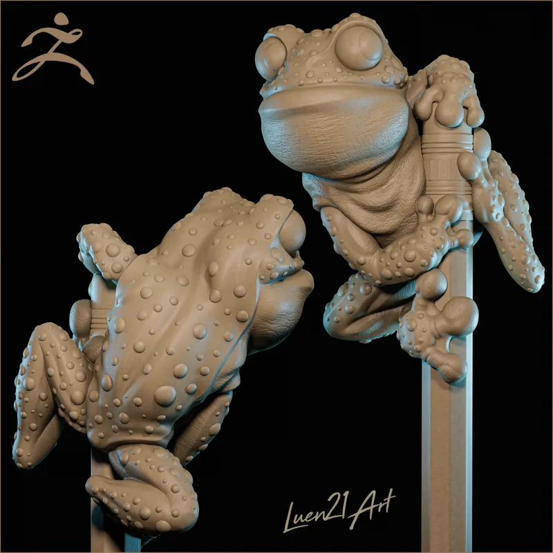 Pencil Frog