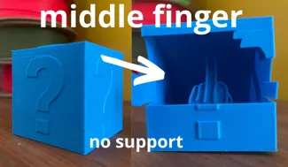 middle finger cube