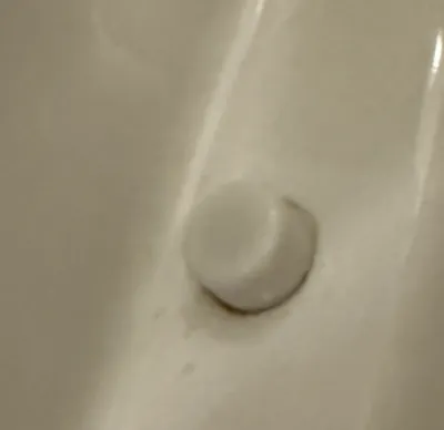 Toilet Lid Screw