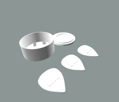 Guitar picks and case