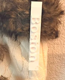stocking name tag