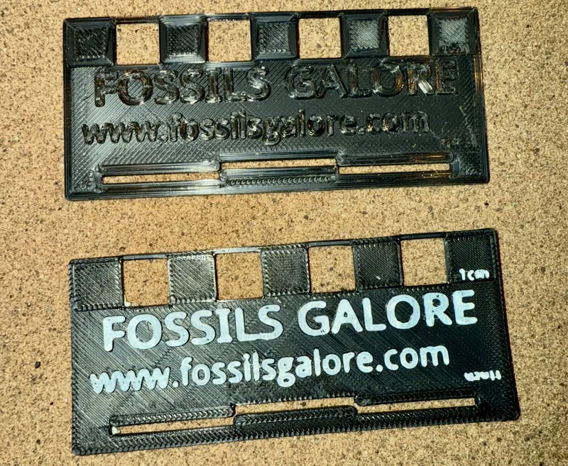 Basic Scale Card