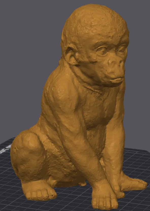 Gorilla