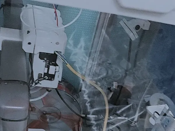 https://makerworld.bblmw.com/makerworld/model/DSM00000000903008/design/a15a0b77-425d-43ba-9589-b3b856c9a00b.webp