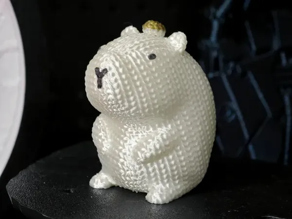 https://makerworld.bblmw.com/makerworld/model/DSM00000000903534/design/c8b85667-e289-4770-abe0-79207110efac.webp