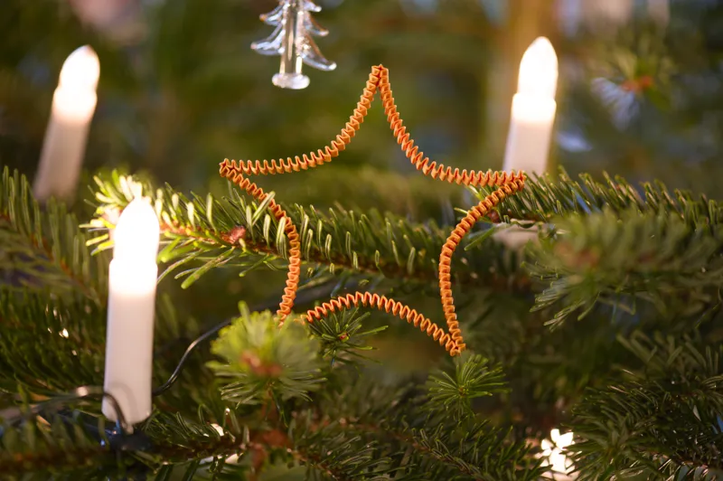 Star Ornament Easy Print Flexible