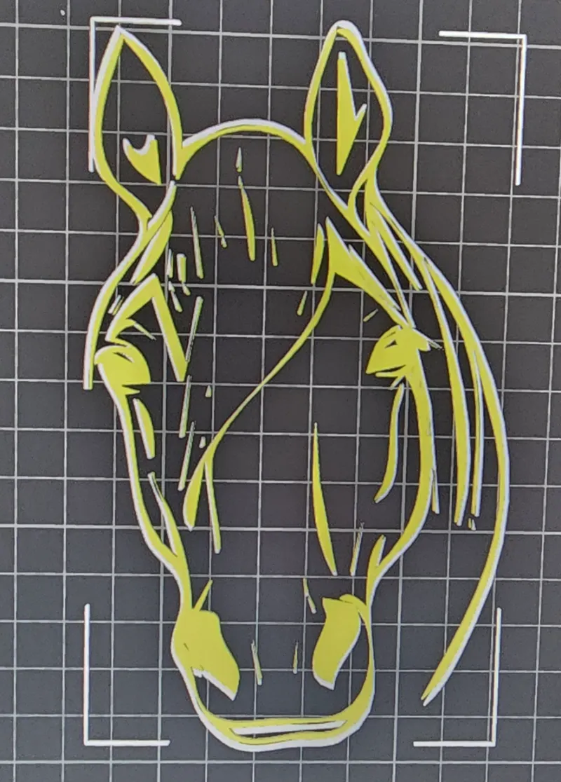 Horse head